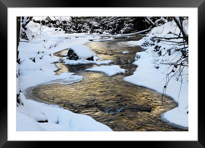 A River of Gold, Teesdale, County Durham, UK Framed Mounted Print by David Forster