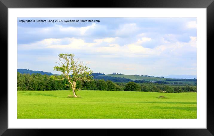 Scottish sunlit meadow  Framed Mounted Print by Richard Long