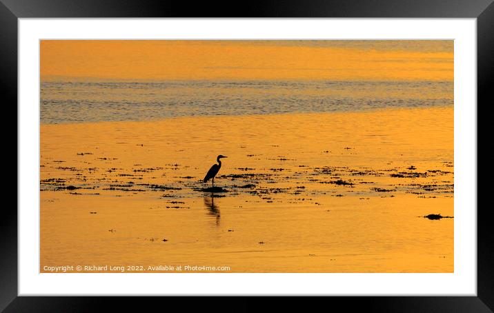 Silhouette of a Grey Heron  Framed Mounted Print by Richard Long