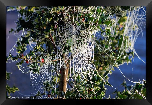 Frost covered Spider webs Framed Print by Richard Long