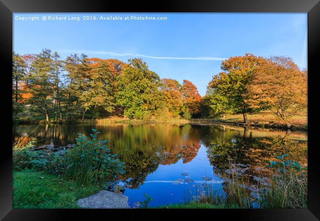 Reflected Sunlit Colours of Autumn Framed Print by Richard Long