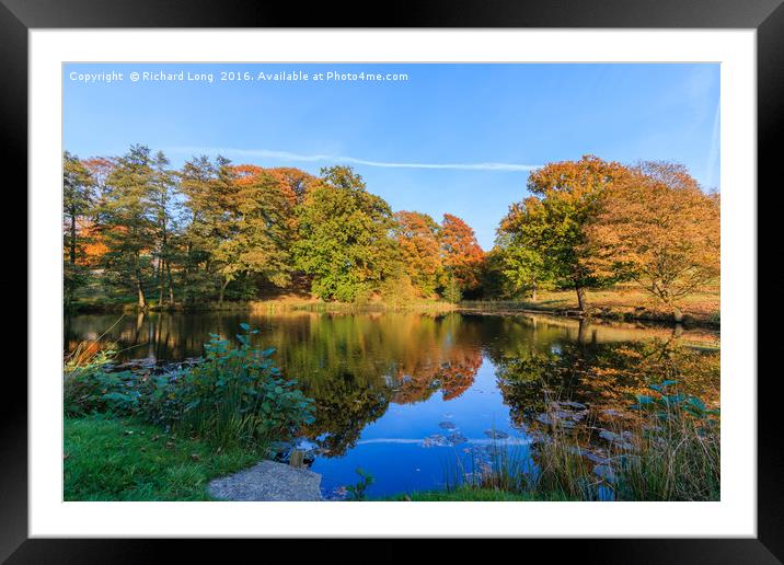 Reflected Sunlit Colours of Autumn Framed Mounted Print by Richard Long