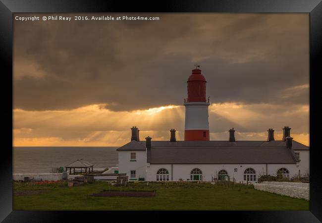 Sunrise at Souter lighthouse Framed Print by Phil Reay