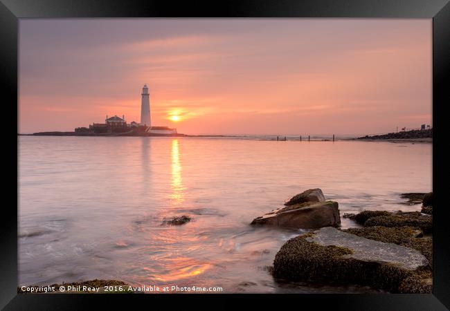 St Mary's island Framed Print by Phil Reay