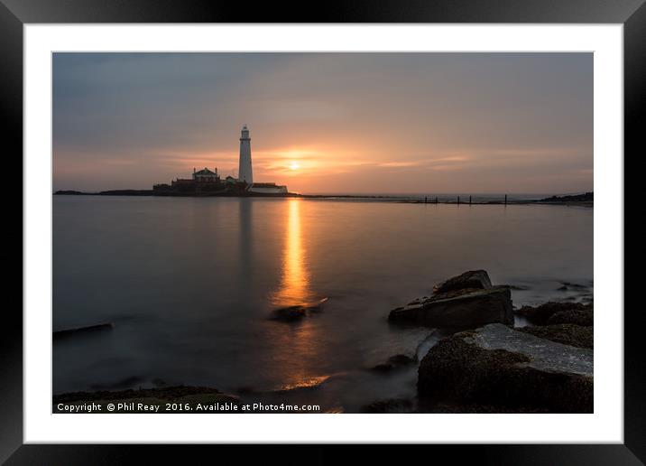 Sunrise at St Mary`s lighthouse Framed Mounted Print by Phil Reay