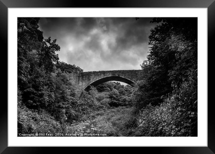 Causey Arch Framed Mounted Print by Phil Reay