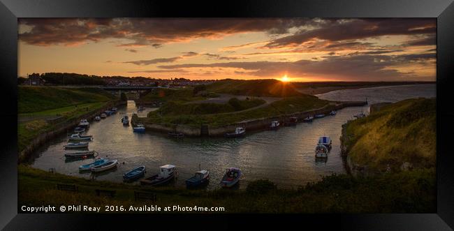 Seaton Sluice harbour Framed Print by Phil Reay