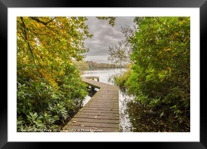 Autumn at Bolam lake jetty Framed Mounted Print by Phil Reay