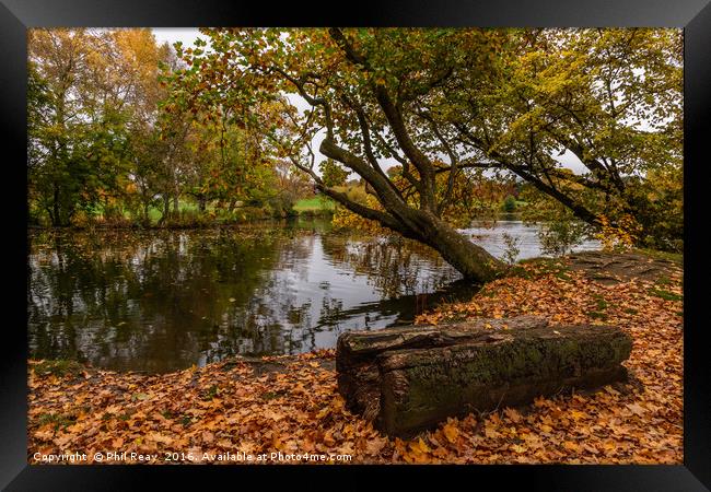 Autumn at Pittville Framed Print by Phil Reay
