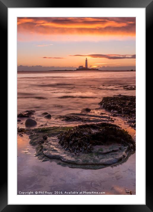 St Mary`s lighthouse at sunrise Framed Mounted Print by Phil Reay