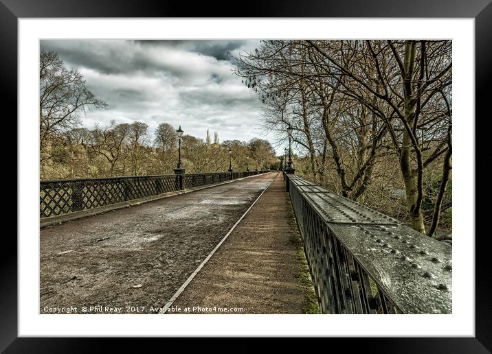 Armstrong Bridge, Newcastle upon Tyne Framed Mounted Print by Phil Reay