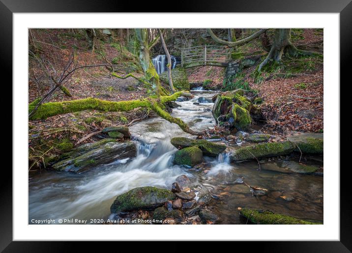 Wharnley Burn, Co Durham Framed Mounted Print by Phil Reay