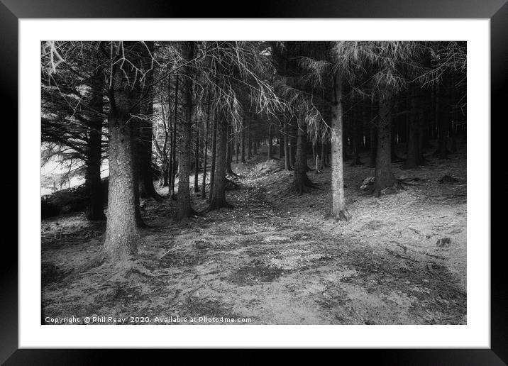 Into the woods... Framed Mounted Print by Phil Reay
