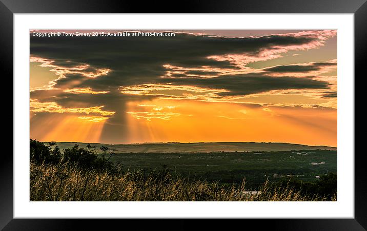  Bathed In Sunlight Framed Mounted Print by Tony Emery