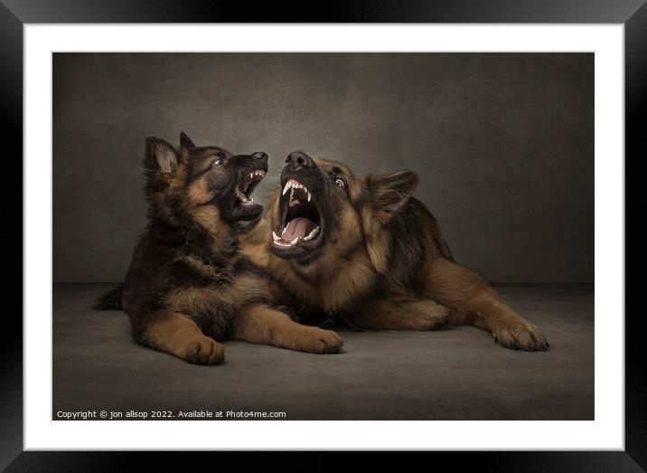 Teach me how to roar! Framed Mounted Print by John Allsop
