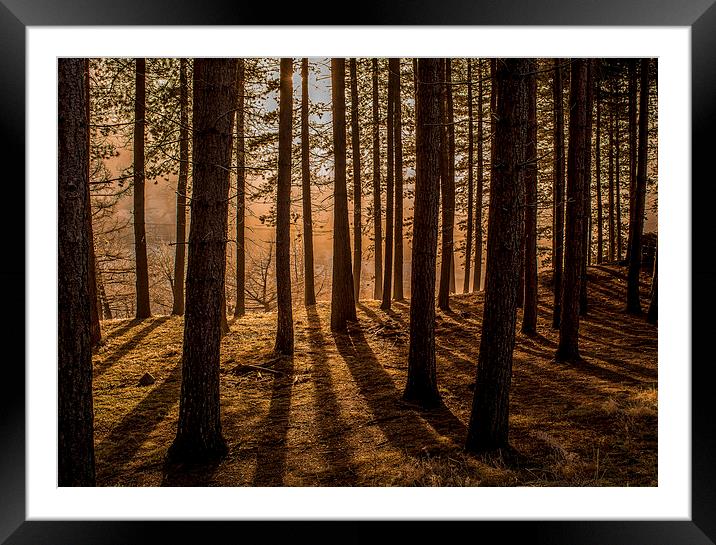 Dove Stone shadows Framed Mounted Print by David Schofield