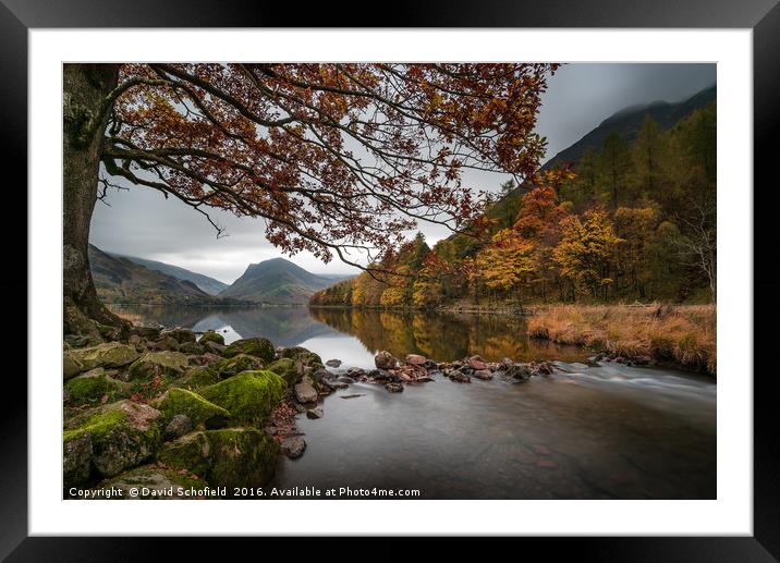 Autumn at Buttermere Framed Mounted Print by David Schofield