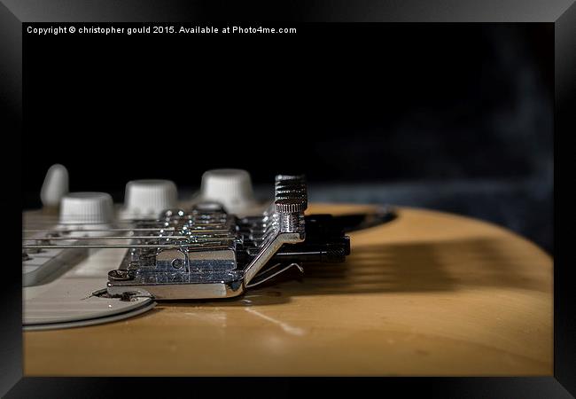  Fender Strat Guitar  Framed Print by christopher gould