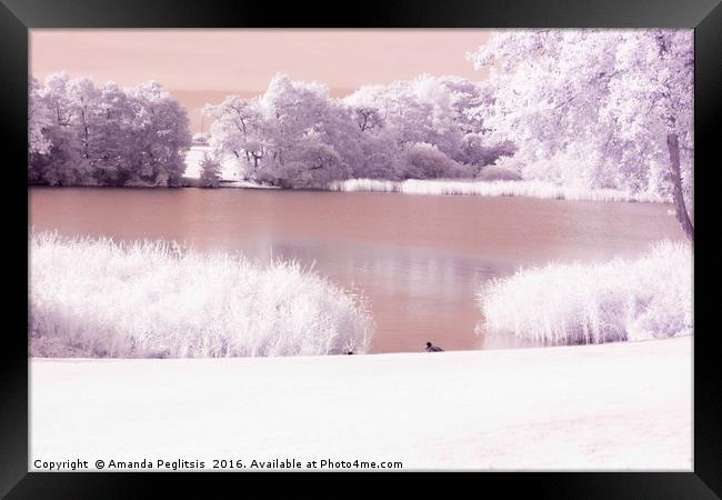 Infrared water view Framed Print by Amanda Peglitsis