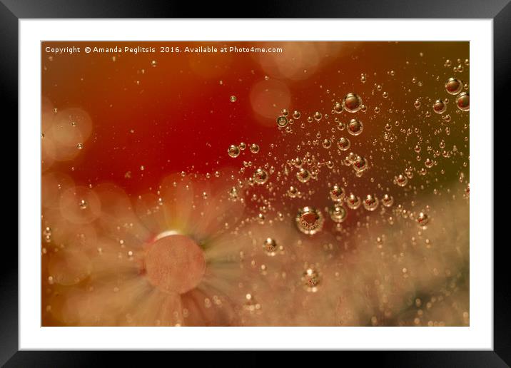 Bubbles Framed Mounted Print by Amanda Peglitsis