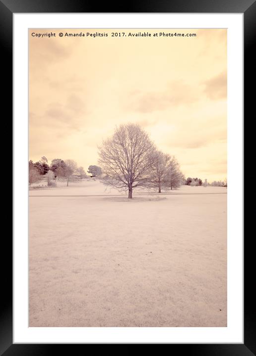 Tree in Infrared Framed Mounted Print by Amanda Peglitsis
