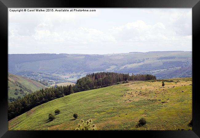  View from Horseshoe Pass Framed Print by Carol Walker