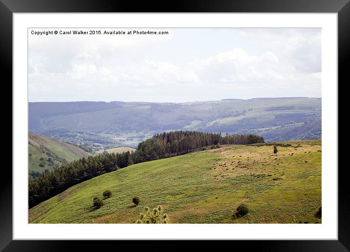  View from Horseshoe Pass Framed Mounted Print by Carol Walker