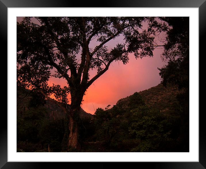  Sailor's Delight Framed Mounted Print by Ashley Gilbert