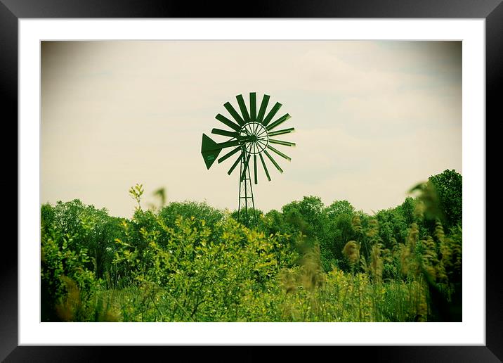  Farm Windmill on the Somerset levels Framed Mounted Print by Caroline Hillier