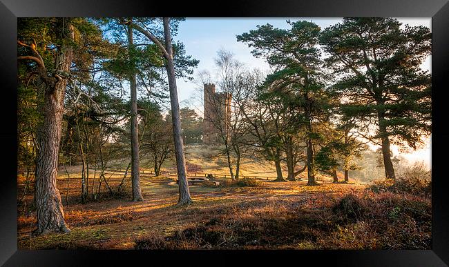 Leith Hill Tower at Dawn Framed Print by Colin Evans