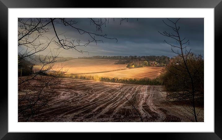  Fields of Gold Framed Mounted Print by Colin Evans