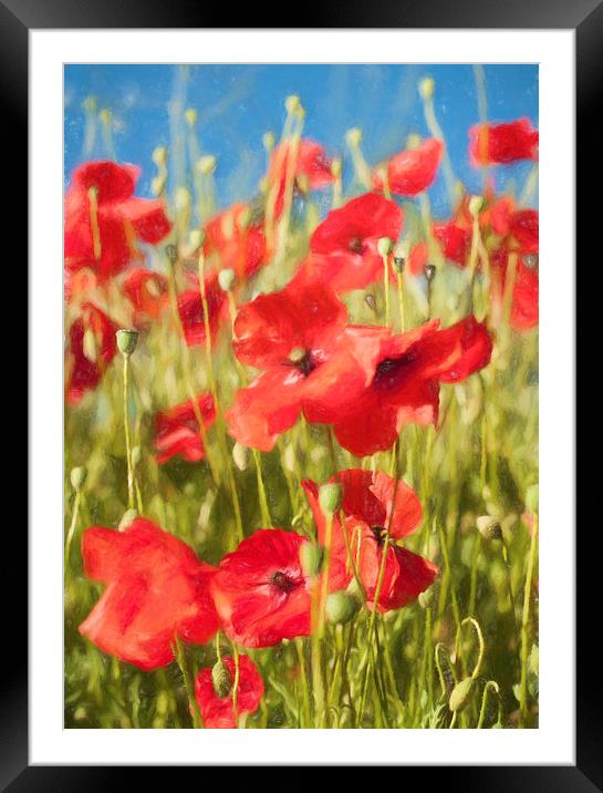 The Poppies Framed Mounted Print by Colin Evans