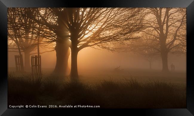 Dawn in Richmond Park London Framed Print by Colin Evans