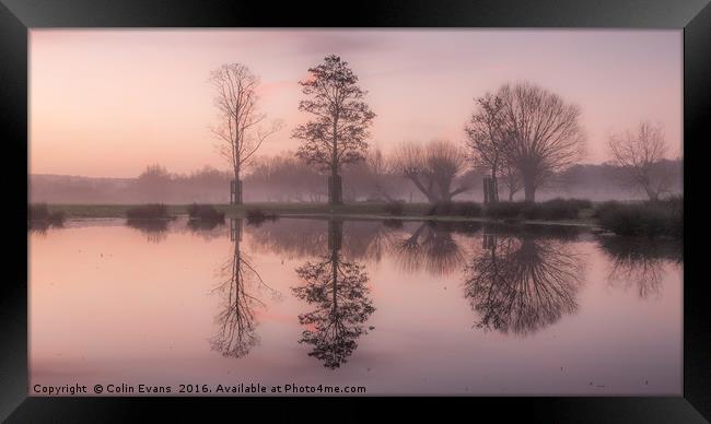 Morning Light in Richmond Park London Framed Print by Colin Evans