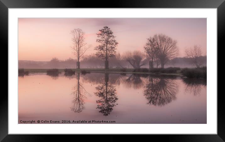 Morning Light in Richmond Park London Framed Mounted Print by Colin Evans