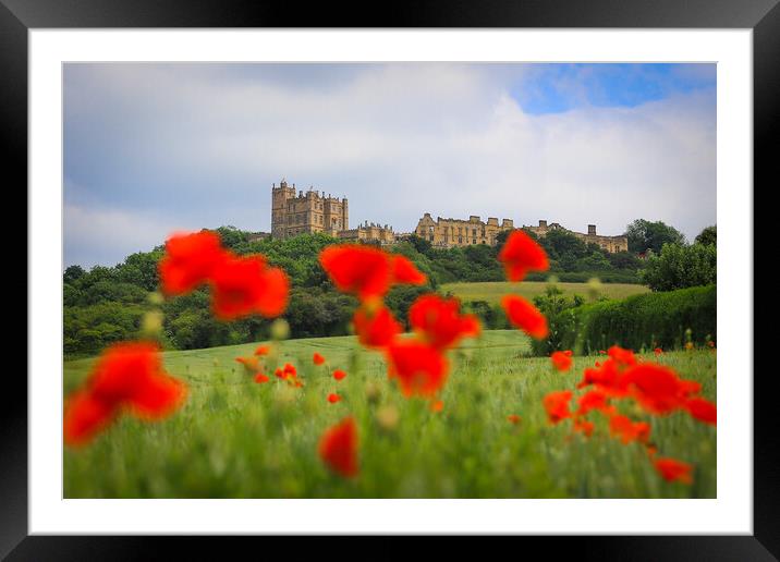 Bolsover Castle and the Poppy Field  Framed Mounted Print by Michael South Photography