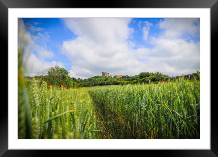 Bolsover Castle  Framed Mounted Print by Michael South Photography