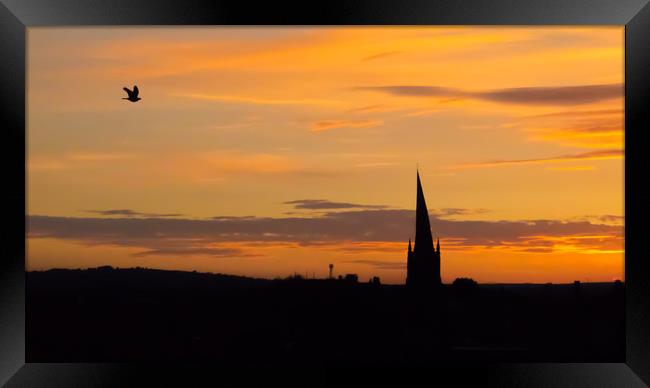 The Crooked Spire (and the passing bird) at sunset Framed Print by Michael South Photography