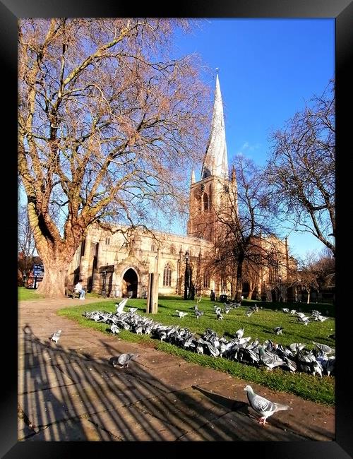The Crooked Spire and the Pigeons  Framed Print by Michael South Photography