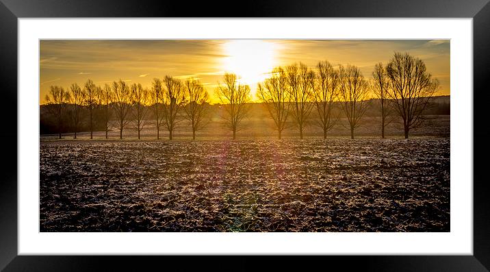  Golden sunrise Framed Mounted Print by Gary Schulze