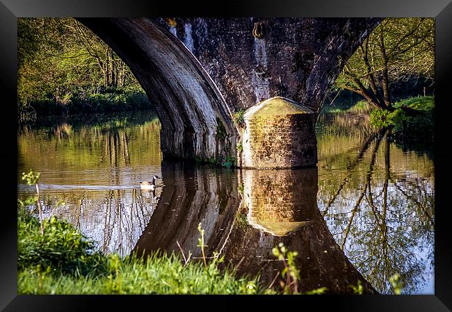 Duck bridge  Framed Print by Gary Schulze