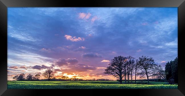 Purple sunset Framed Print by Gary Schulze