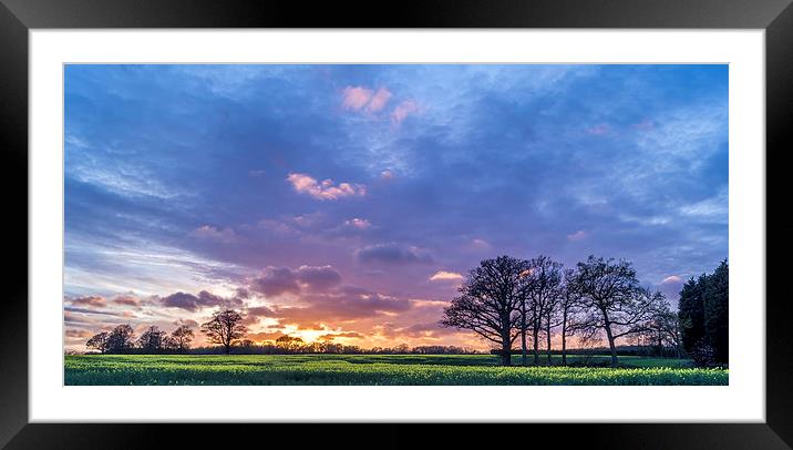 Purple sunset Framed Mounted Print by Gary Schulze
