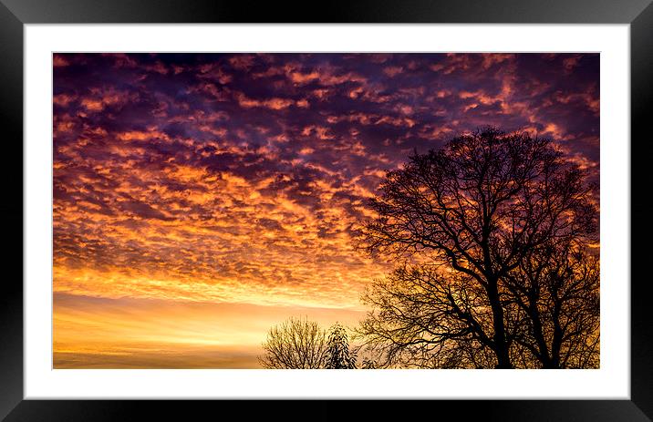  Red dawn Framed Mounted Print by Gary Schulze