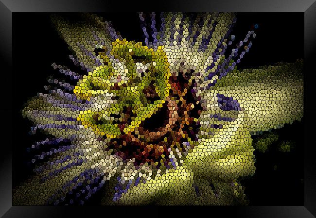  Passion flower stained glass effect Framed Print by Gary Schulze
