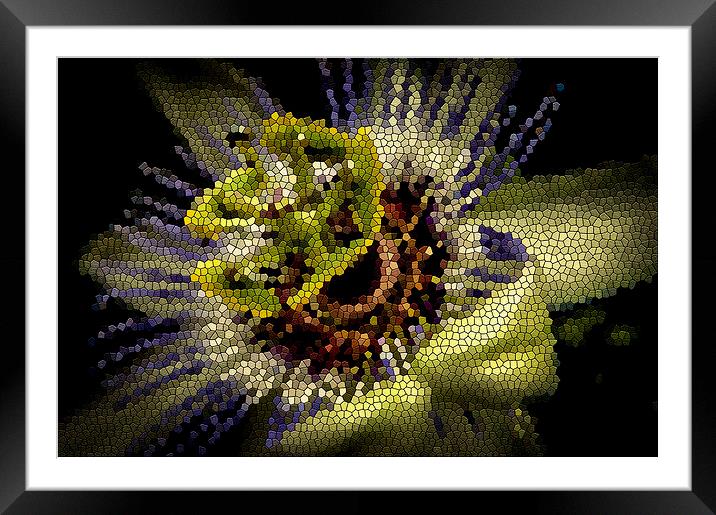  Passion flower stained glass effect Framed Mounted Print by Gary Schulze