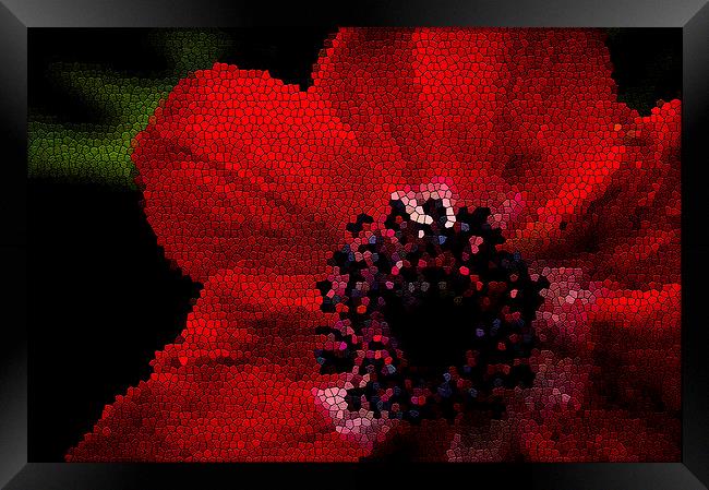 Red flower stained Framed Print by Gary Schulze