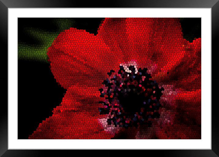Red flower stained Framed Mounted Print by Gary Schulze