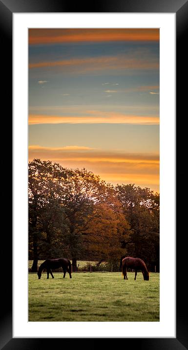  Morning grazers Framed Mounted Print by Gary Schulze