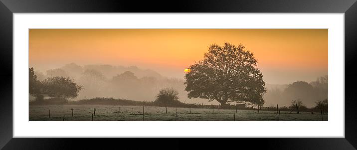 Early rise  Framed Mounted Print by Gary Schulze